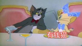貓和老鼠s2爆料視頻,經(jīng)典角色新篇章，笑料百出引期待